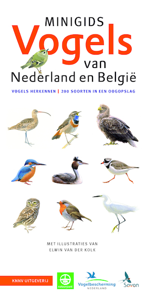 Minigids Vogels van Nederland en België - Jip Louwe Kooijmans (ISBN 9789050116985)