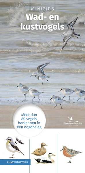 Set Minigids Wad- en kustvogels - Maureen Kemperink (ISBN 9789050117845)