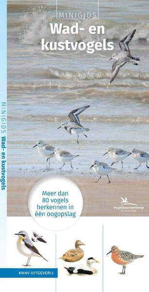 Minigids Wad- en kustvogels - Maureen Kemperink (ISBN 9789050116916)