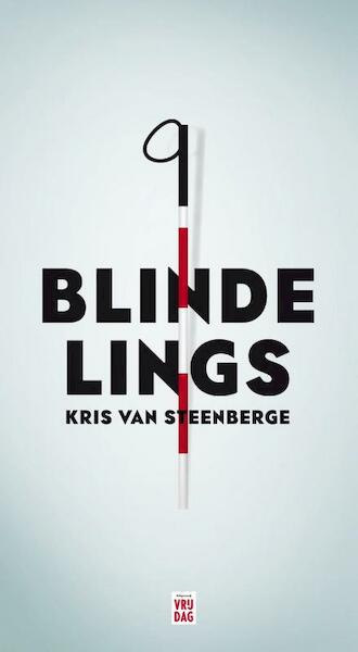 Blindelings - Kris Van Steenberge (ISBN 9789079390304)