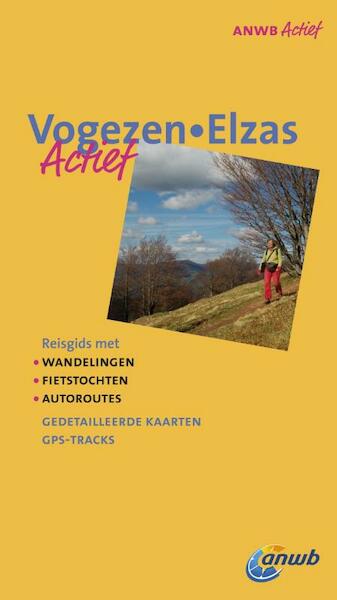 ANWB Actief Vogezen, Elzas - Gjelt de Graaf (ISBN 9789018031268)