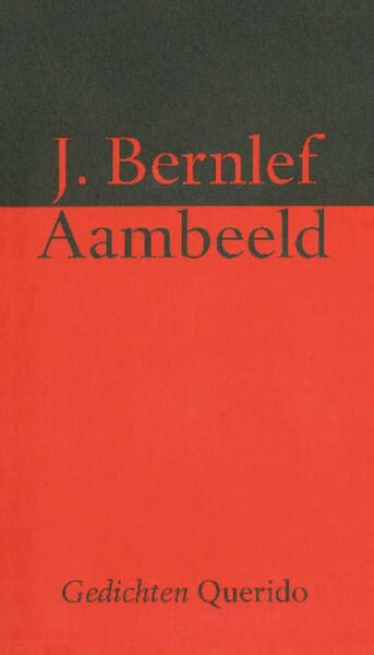 Aambeeld - J. Bernlef (ISBN 9789021448237)