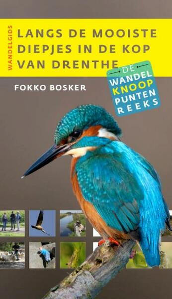 Langs de mooiste diepjes in de Kop van Drenthe - Fokko Bosker (ISBN 9789460224218)