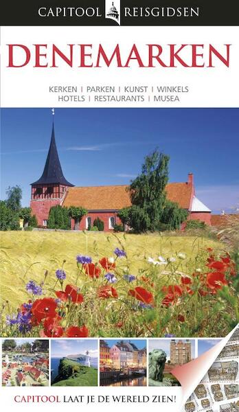 Denemarken - Monika Witkowska, Joanna Hald (ISBN 9789047517863)