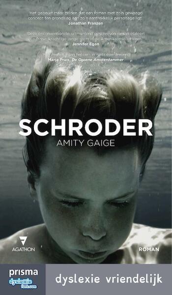 Schroder - Amity Gaige (ISBN 9789000334193)