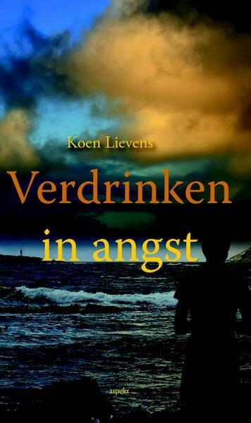 Verdrinken in angst - Koen Lievens (ISBN 9789461535047)