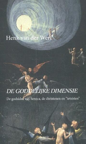 De Goddelijke Dimensie - Henk van der Werf (ISBN 9789461538116)