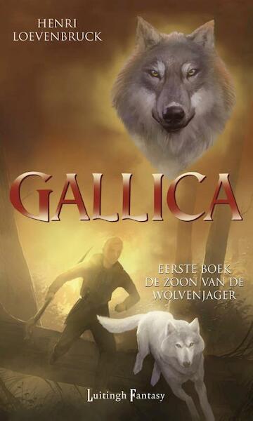 Gallica / 1 - Henri Loevenbruck (ISBN 9789024560189)
