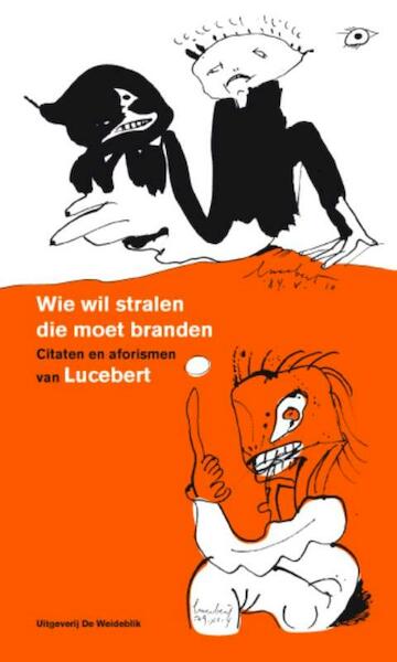 Wie wil stralen die moet branden - Lucebert, Ton den Boon (ISBN 9789077767658)