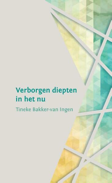 Verborgen diepten in het nu - Tineke Bakker-van Ingen (ISBN 9789492421098)