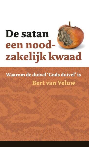 De satan - een noodzakelijk kwaad - Bert van Veluw (ISBN 9789088970504)