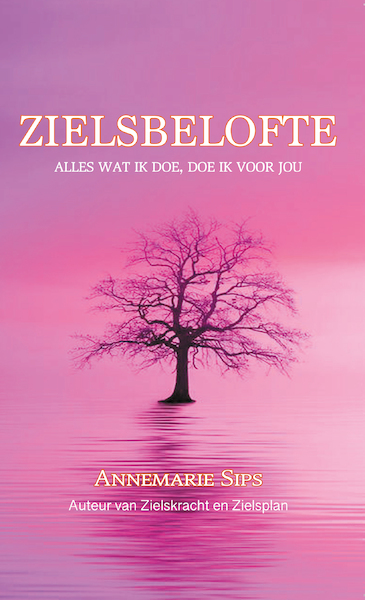 Zielsbelofte - Annemarie Sips (ISBN 9789082879728)