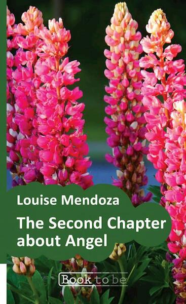 The Second Chapter about Angel - Louise Mendoza (ISBN 9789402167818)