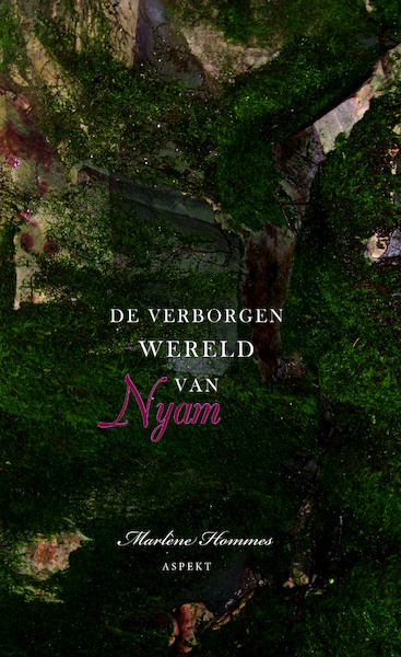 De verborgen wereld van Nyam - Marlène Hommes (ISBN 9789463385800)