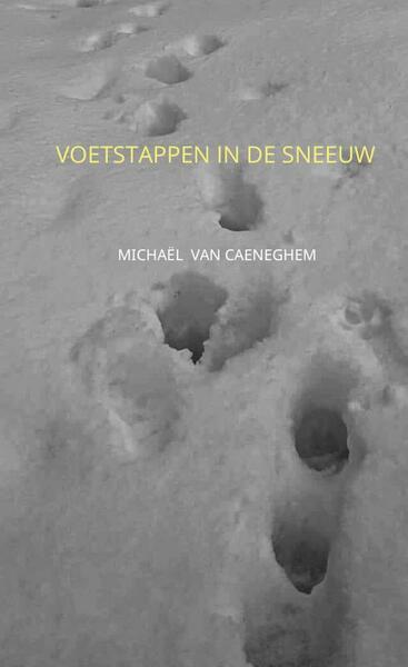 Voetstappen in de sneeuw - Michaël van Caeneghem (ISBN 9789464051179)