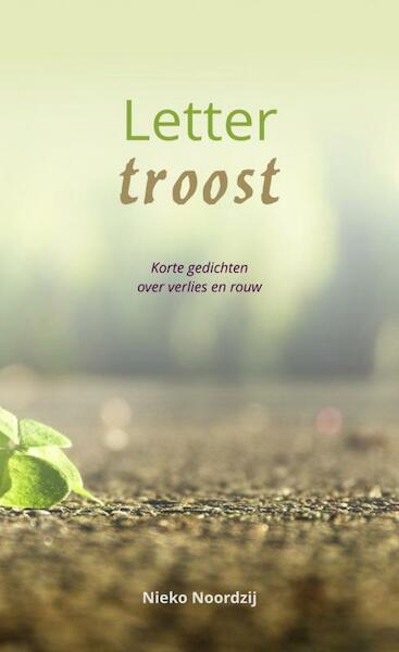 Lettertroost - Nieko Noordzij (ISBN 9789464357219)