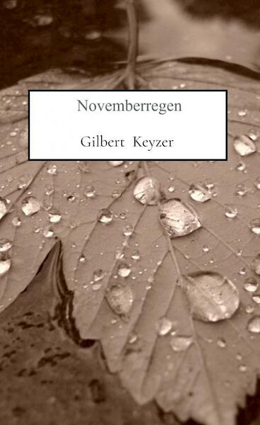 Novemberregen - Gilbert Keyzer (ISBN 9789464923407)