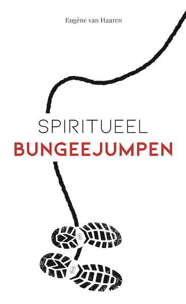 Spiritueel bungeejumpen - Eugène van Haaren (ISBN 9789492883568)