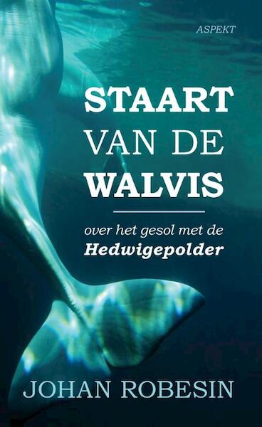 Staart van de Walvis - Johan Robesin (ISBN 9789463381901)