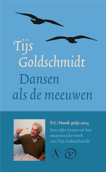 Dansen als de meeuwen - Tijs Goldschmidt (ISBN 9789028230163)