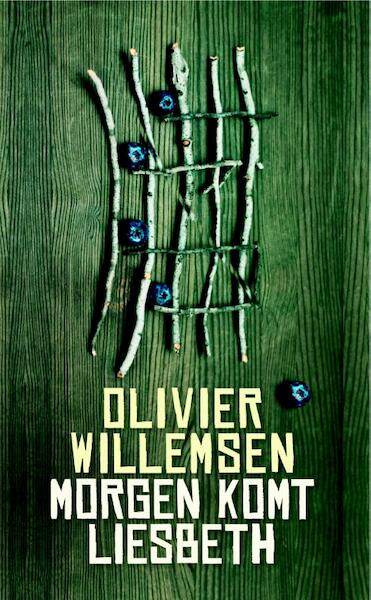 Morgen komt Liesbeth - Olivier Willemsen (ISBN 9789076174419)