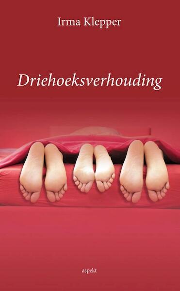 Driehoeksverhouding - Irma Klepper (ISBN 9789461537560)