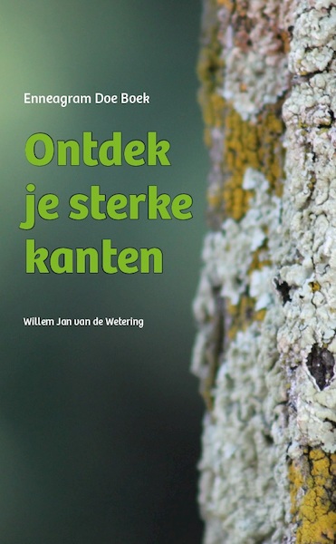 Ontdek je sterke kanten - Willem Jan van de Wetering (ISBN 9789055993390)