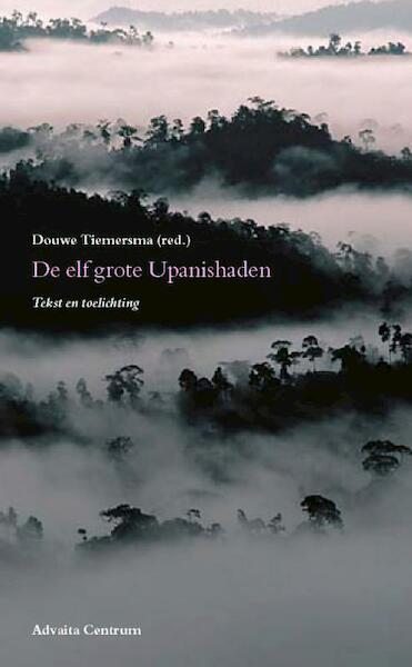 De elf grote Upanishaden - Douwe Tiemersma (ISBN 9789077194010)