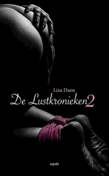 De Lustkronieken 2 - Liza Daen (ISBN 9789461538024)