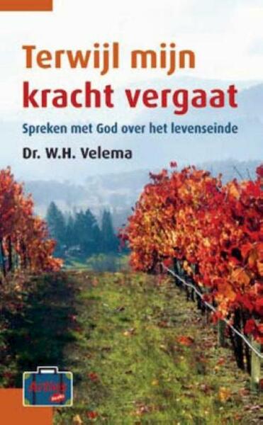 Terwijl mijn kracht vergaat - W.H. Velema (ISBN 9789058298638)