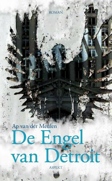 De Engel van Detroit - Ap van der Meulen (ISBN 9789461538956)