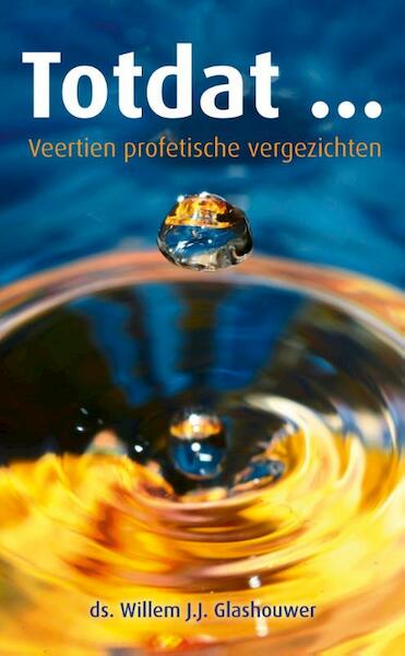 Totdat ... - Willem J.J. Glashouwer (ISBN 9789088971624)