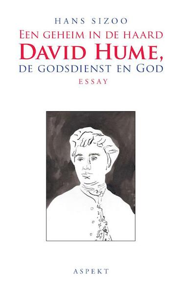 Een geheim in de haard, David Hume, de godsdienst en God - Hans Sizoo (ISBN 9789461539359)
