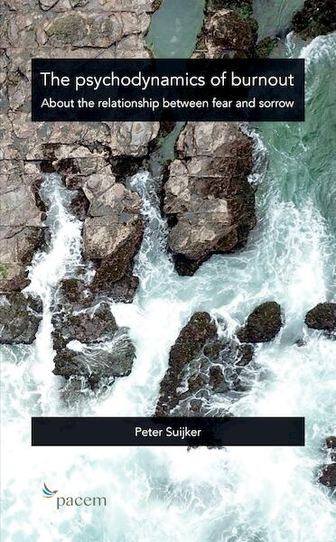 The psychodynamics of burnout - Peter Suijker (ISBN 9789463455930)