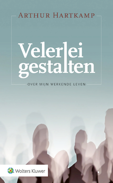 Velerlei gestalten - (ISBN 9789013158007)