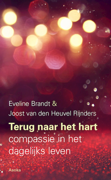 Terug naar het hart - Eveline Brandt, Joost van den Heuvel Rijnders (ISBN 9789056704155)