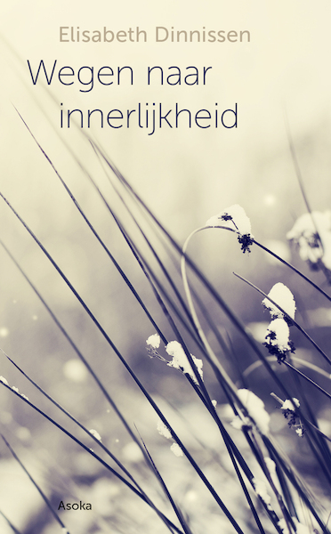 Wegen naar innerlijkheid - Elisabeth Dinnissen (ISBN 9789056704117)