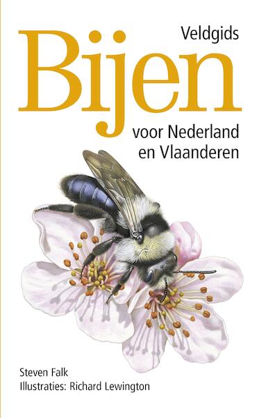 Bijen – Veldgids voor Nederland en Vlaanderen - Steven Falk, Richard Lewington (ISBN 9789021564371)