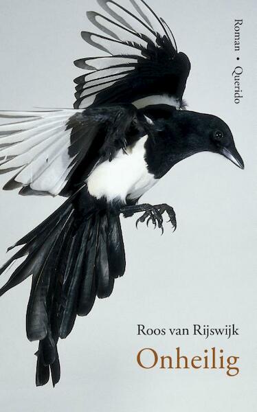 Onheilig - Roos van Rijswijk (ISBN 9789021401669)