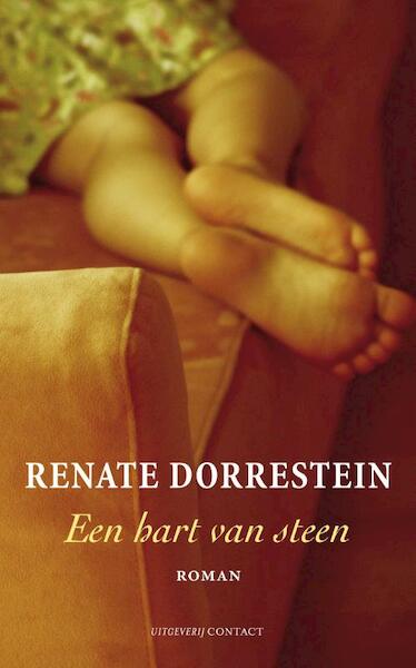 Hart van steen / Midprice - Renate Dorrestein (ISBN 9789025429249)