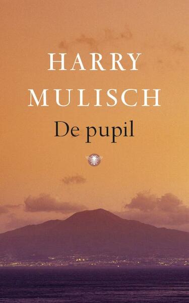 De pupil - Harry Mulisch (ISBN 9789023468097)