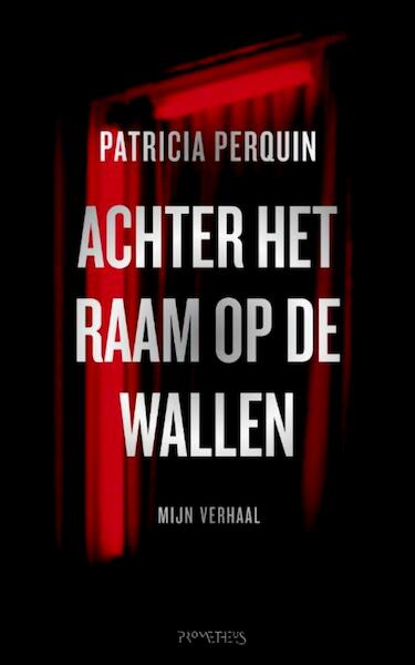Achter het raam op de Wallen - Patricia Perquin (ISBN 9789044620818)
