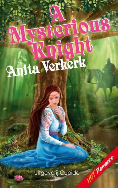 A Mysterious Knight - Anita Verkerk (ISBN 9789462040687)