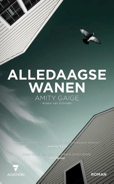 Alledaagse wanen - Amity Gaige (ISBN 9789000330225)