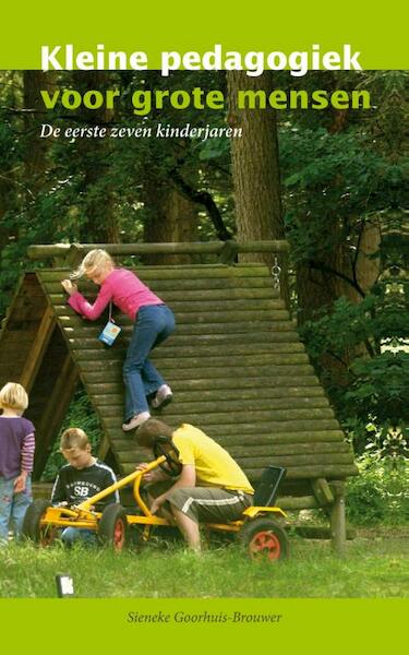 Kleine pedagogiek voor grote mensen - Sieneke Goorhuis-Brouwer (ISBN 9789088504716)