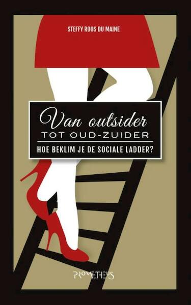 Van outsider tot Oud-Zuider - Steffy Roos Du Maine (ISBN 9789044625172)