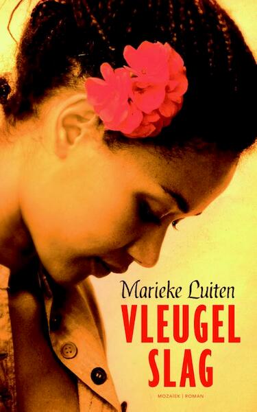 Vleugelslag - Marieke Luiten (ISBN 9789023994596)