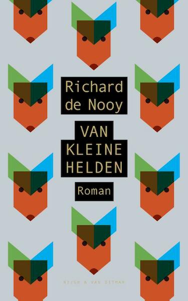 Van kleine helden - Richard de Nooy (ISBN 9789038801834)