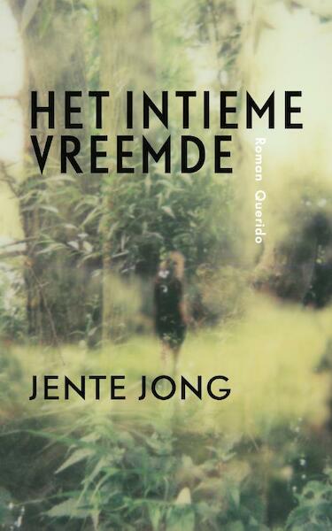 Het intieme vreemde - Jente Jong (ISBN 9789021407449)