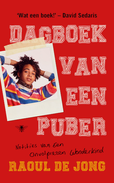 Dagboek van een puber - Raoul de Jong (ISBN 9789403110905)